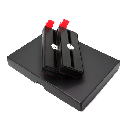 PlateSnap Magnetic Mount for Two Plates